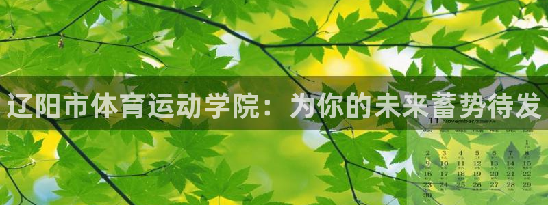 米兰体育官方正版app集团官网网址
