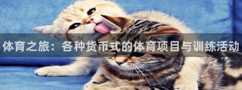 米兰体育官网下载平台注册要钱吗是真的吗：体育之旅：各种货币式