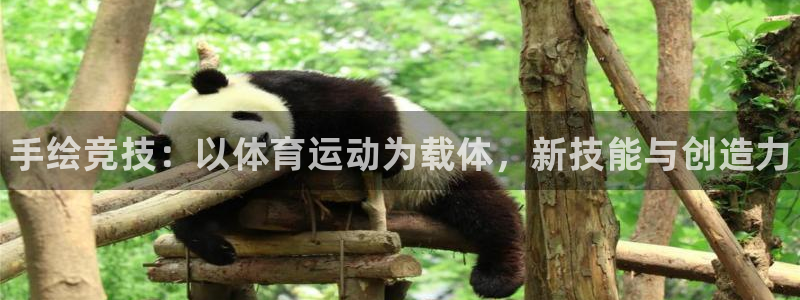 米兰体育官网下载官方客服电话：手绘竞技：以体育运动为