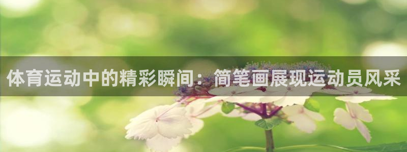 米兰体育官网下载招商电话地址是多少：体育运动中的精彩