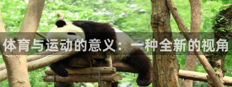 米兰体育官网下载注册：体育与运动的意义：一种全新的视