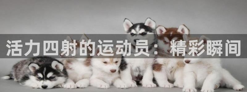 米兰体育官网下载招商电话地址是多少：活力四射的运动员