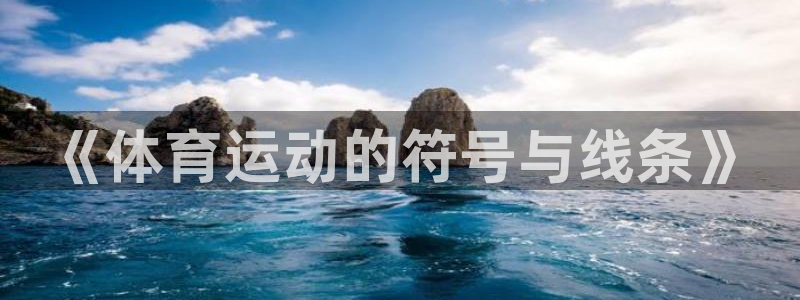 米兰体育官网下载联系电话：《体育运动的符号与线条》