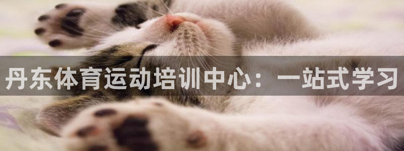 米兰体育官方正版app科技：丹东体育运动培训中心：一