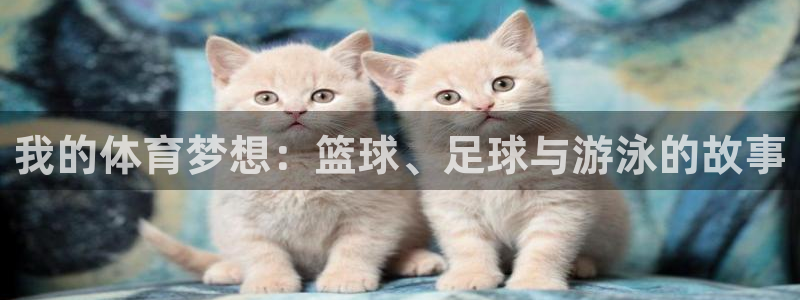 米兰体育官网下载招商电话号码是多少号：我的体育梦想：篮球、足