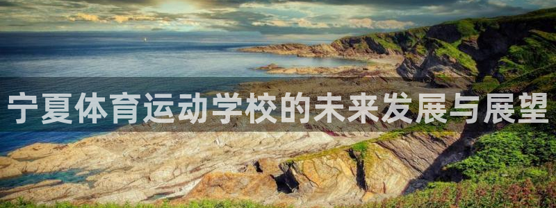 米兰体育官网下载招商：宁夏体育运动学校的未来发展与展