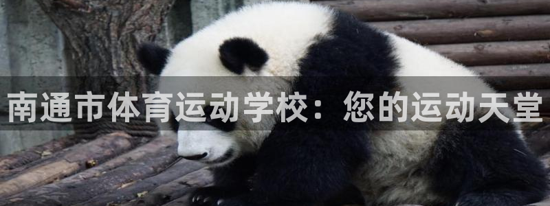 米兰体育官方正版app集团官网网址