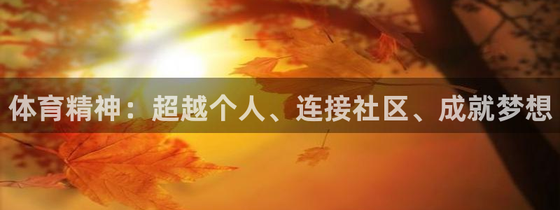 米兰体育官网下载平台注册流程视频：体育精神：超越个人、连接社