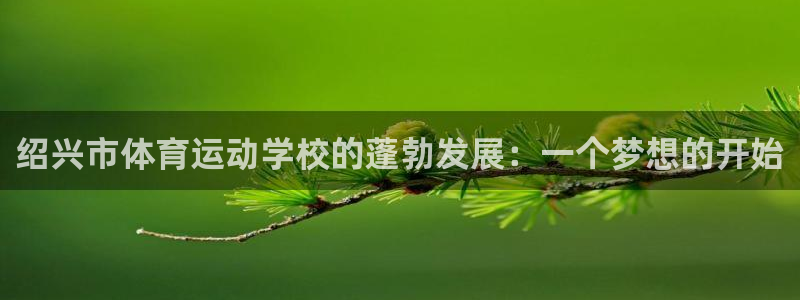 米兰体育官网下载官方客服电话