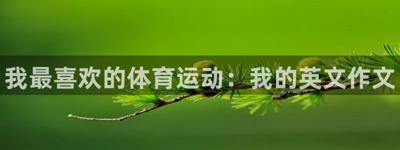 米兰体育报赛季最佳球员：我最喜欢的体