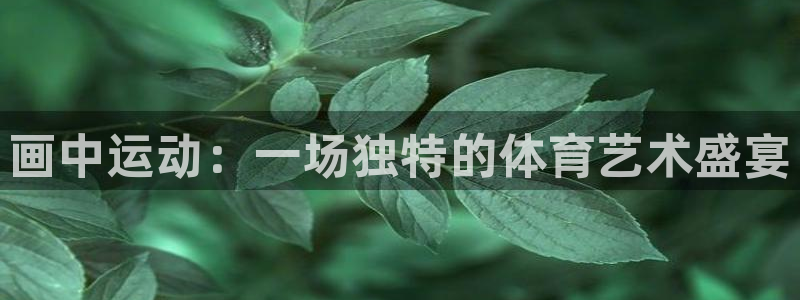 米兰体育可信度怎么样：画中运动：一场