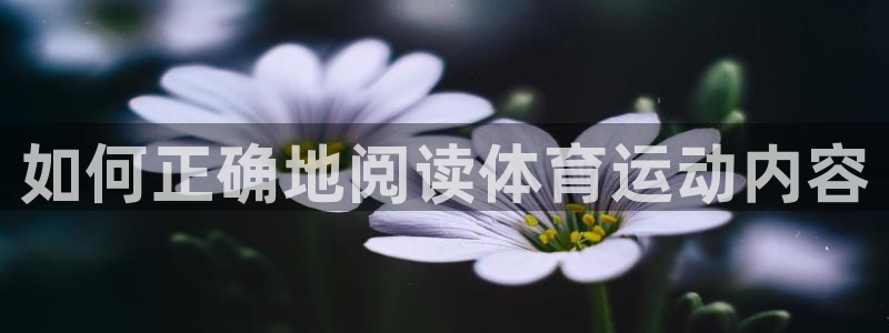 米兰体育场：如何正确地阅读体育运动内